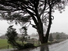 temporal 3