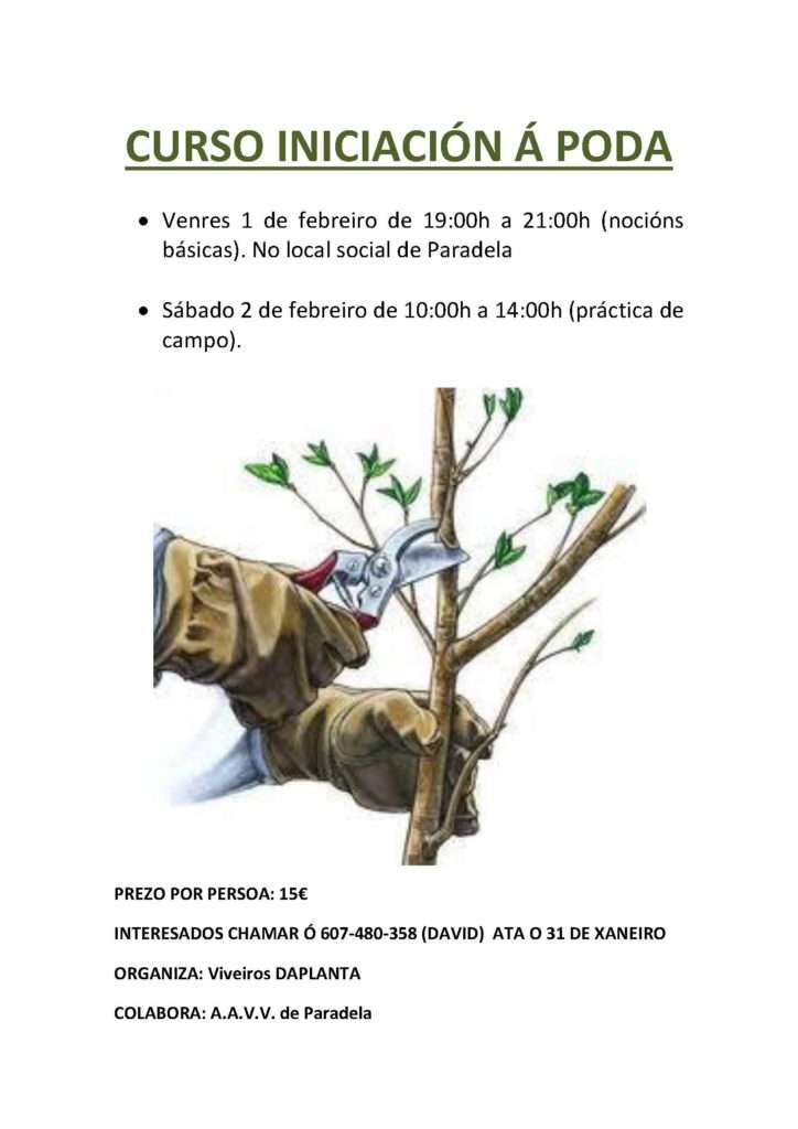 CURSO INICIACIÓN Á PODA