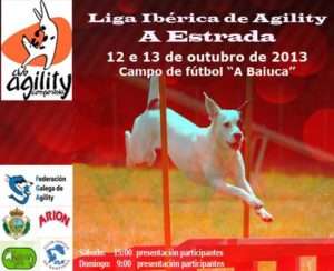 Agility A Estrada Liga