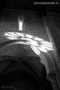IMG_3526 copia