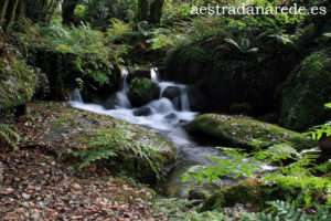 imagen 1192 copia