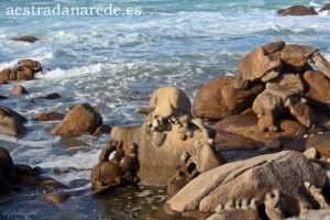 IMG_2240 copia
