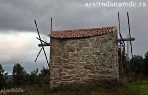 IMG_5869 copia