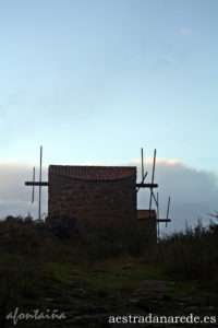 IMG_5883 copia