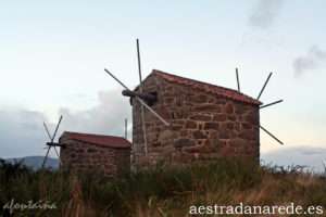 IMG_5895 copia