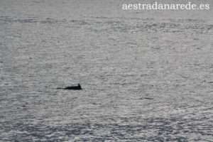 Imagen 456 copia