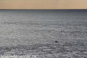 Imagen 457 copia