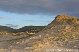 TRABA 288 copia