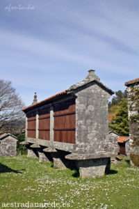 008 256 copia