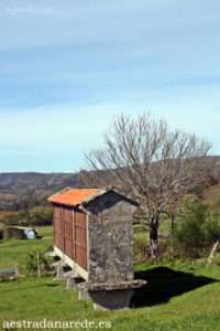 008 261 copia