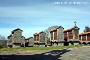 008 264 copia
