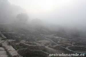 IMG_0113 copia