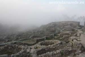 IMG_0122 copia