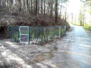 IMG_20140322_101910