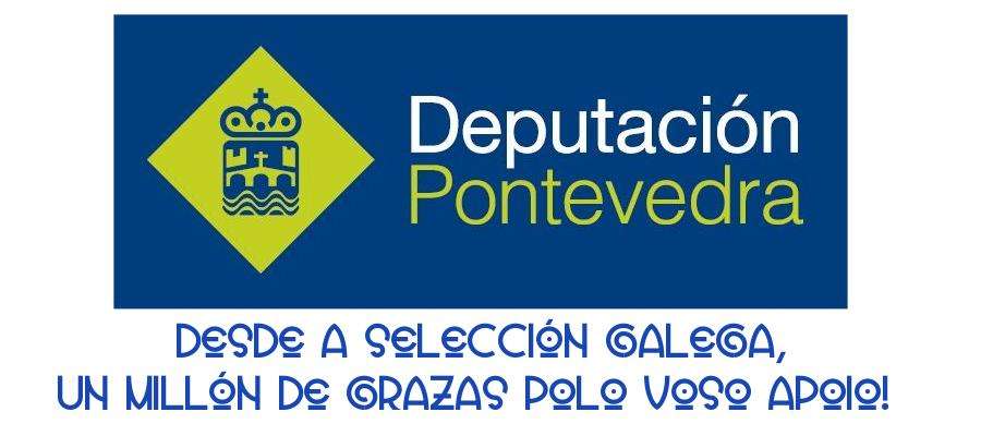 Logo Deputación pontevedra